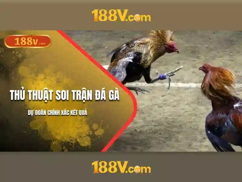 Ví dụ và diễn giải