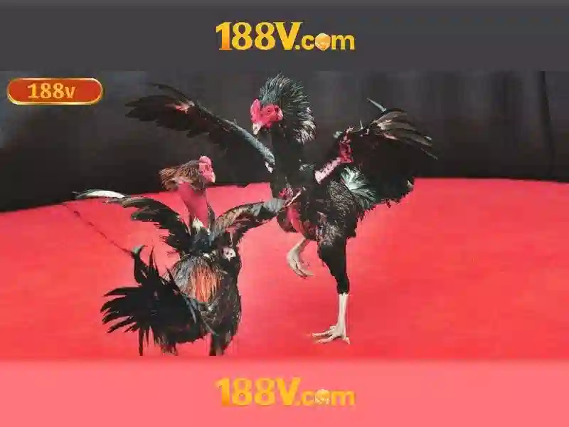 Nguồn gốc và ý tưởng