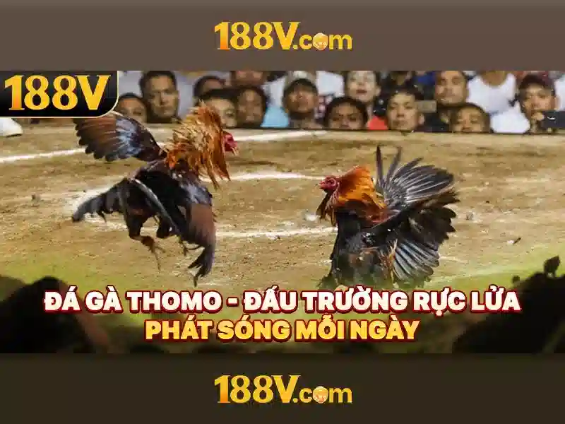 Khám phá 188v: hành trình của một khái niệm