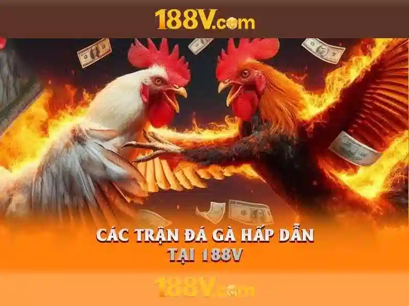 Y nghia va tac dong