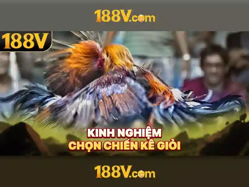 Khám phá 188v: một khái niệm và hành trình