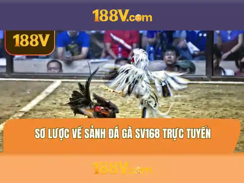 Ứng dụng và tiềm năng