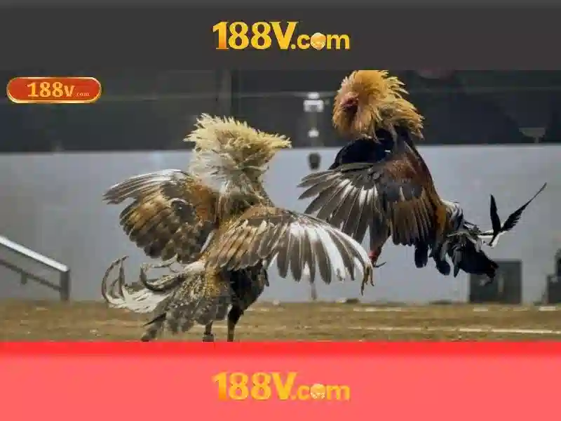 188v: một khái niệm công nghệ và ứng dụng