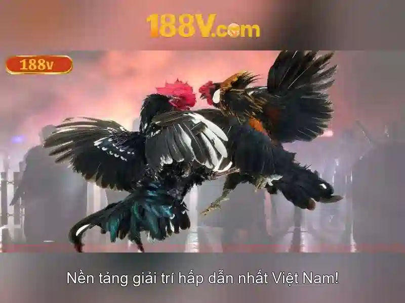 188v: Mot khuynh huong trong thoi dai so