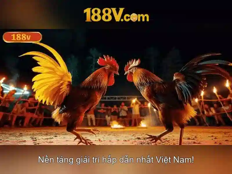 Nguồn gốc và ý nghĩa của 188v