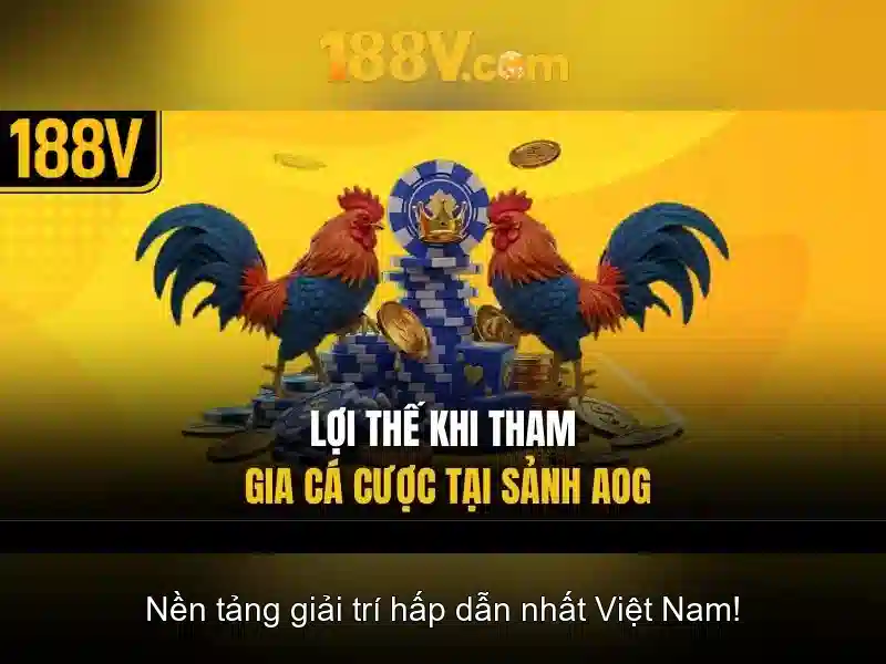 Ảnh hưởng đến thời gian và nhận thức