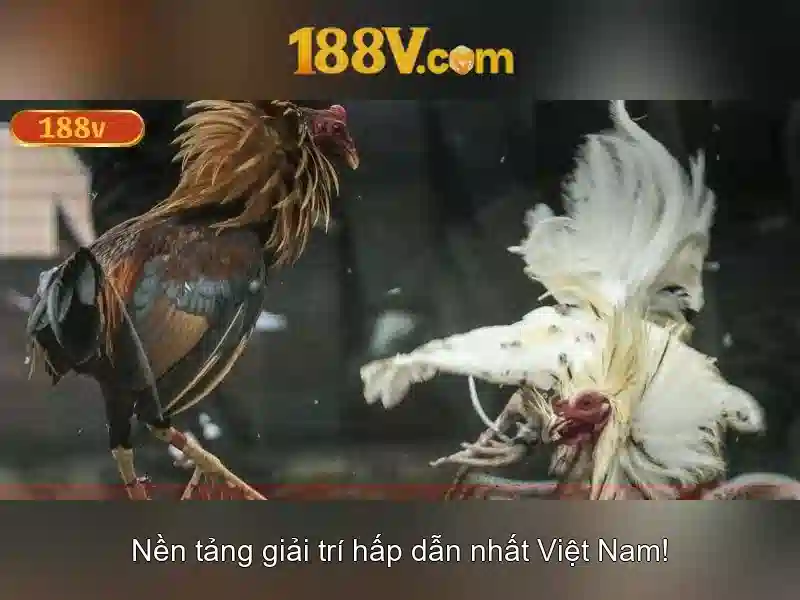 Nguồn gốc và ý nghĩa của 188v