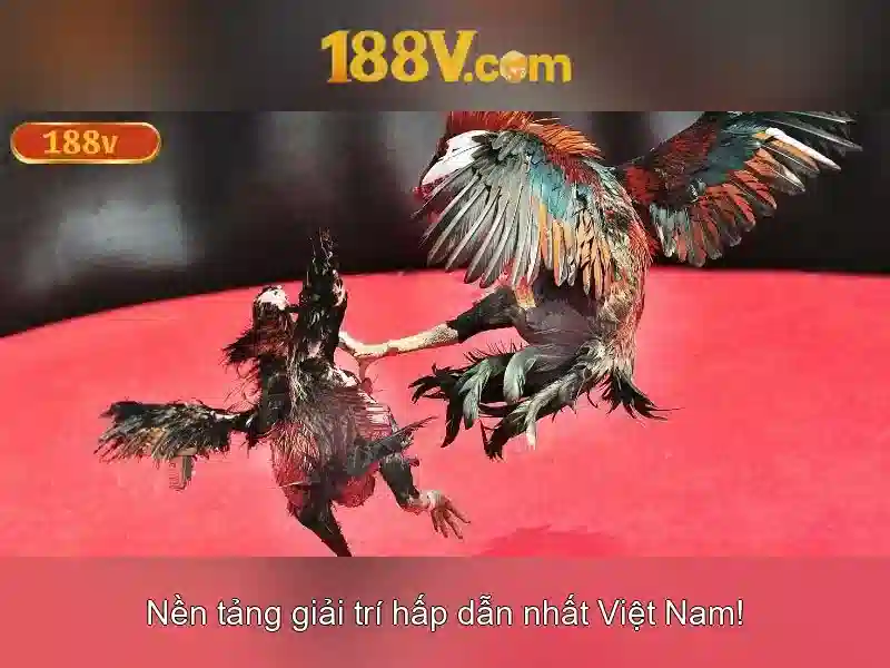 Nguồn gốc và ý nghĩa của 188v