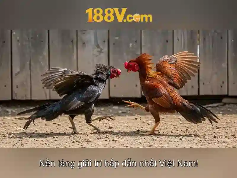Tương lai của 188v