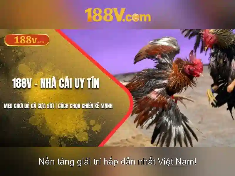 Khám phá 188V: Ảnh hưởng, ứng dụng và an toàn