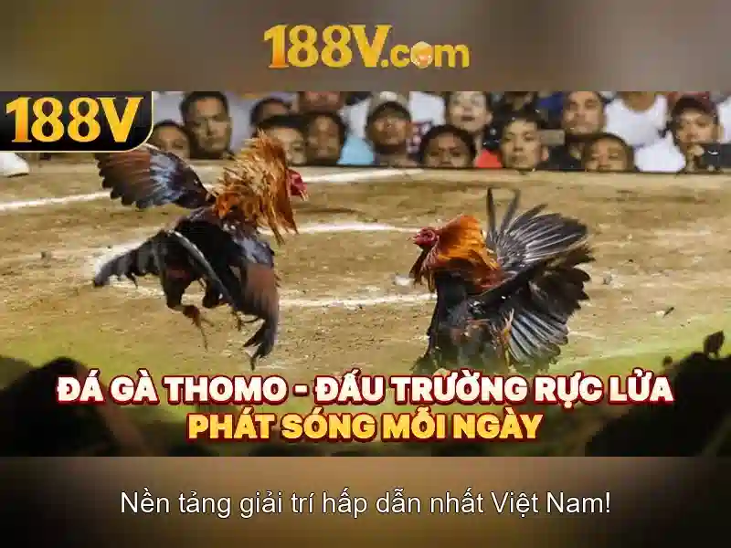 188v: Khái niệm công nghệ và văn hóa số