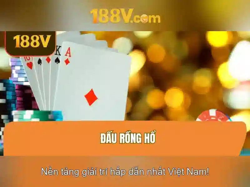 dieu-khoan-dieu-kien